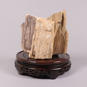 A heavy petrified wood 80.6 oz