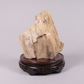 A heavy petrified wood 71.37 oz
