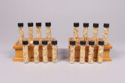 Lots gold flakes in box