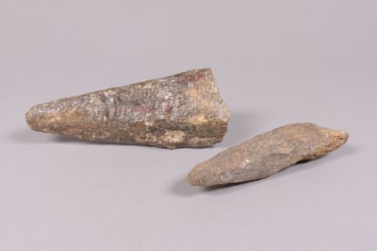 Lots fossilized item ungraded