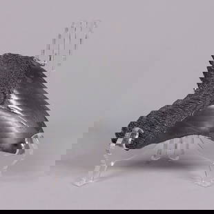 A fossilized item ungraded: A fossilized item, ungraded. All sales are final.