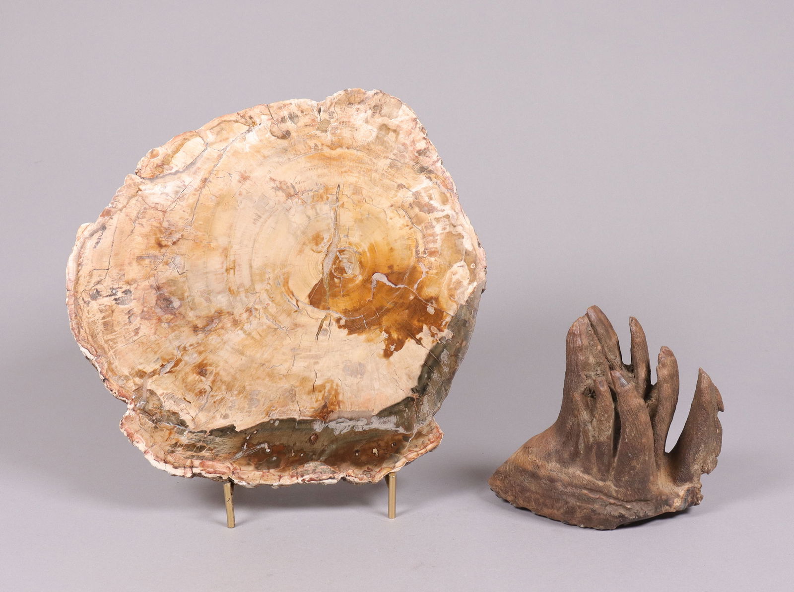Lots fossilized items ungraded (1 of 8)