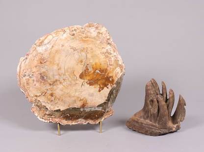 Lots fossilized items ungraded: Lots fossilized items, ungraded. All sales are final. No return.