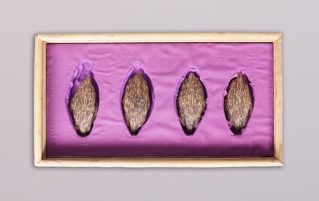 Lots Chinese scented wood in box