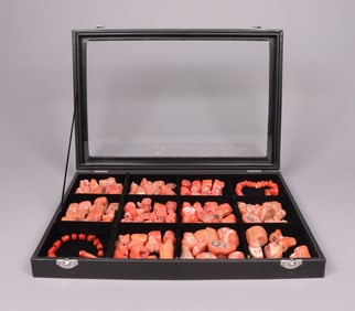 Lots coral pieces in box