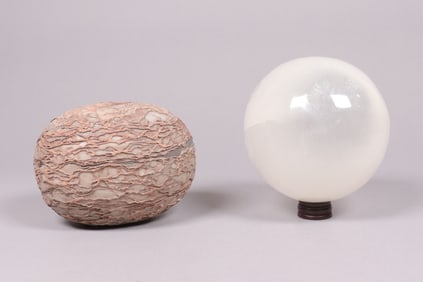 Lots possible fossilized items