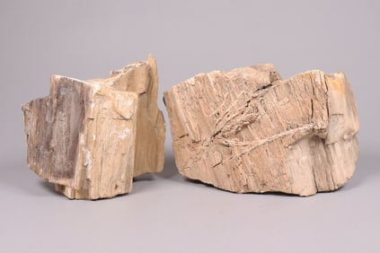 Lots petrified wood heavy