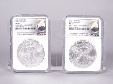 Lots Silver Eagle MS 69