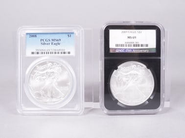 Lots Silver Eagle MS 69