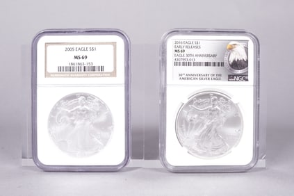 Lots Silver Eagle MS 69