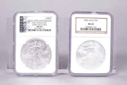 Lots Silver Eagle MS 69