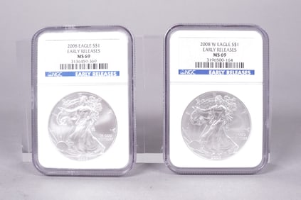 Lots Silver Eagle MS 69