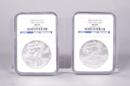 Lots Silver Eagle MS 69