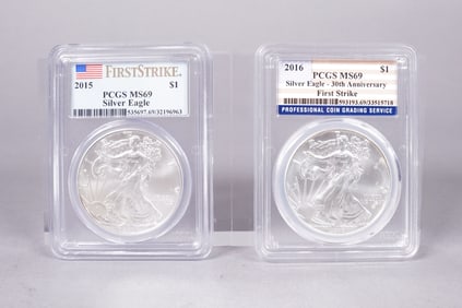 Lots Silver Eagle MS 69