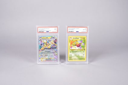 Lots Pokemon cards PSA