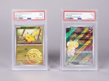 Lots Pokemon cards PSA graded