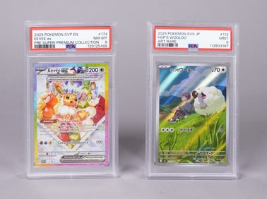 Lots Pokemon cards PSA graded
