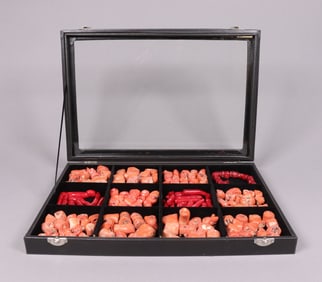 Lots corals specimen