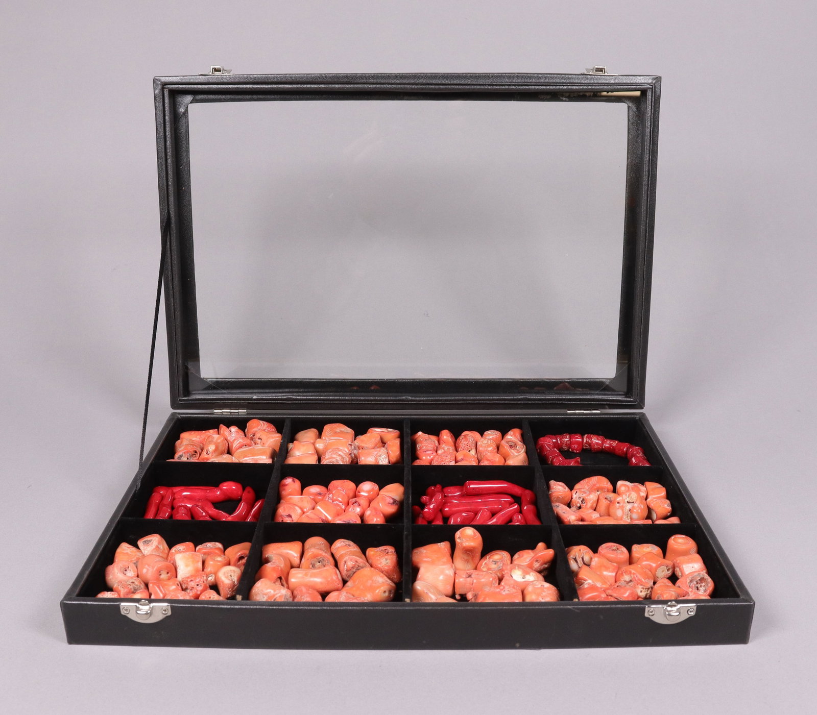 Lots corals specimen: Lots corals specimen, in box.