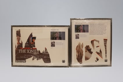 The Lonely Lady poster