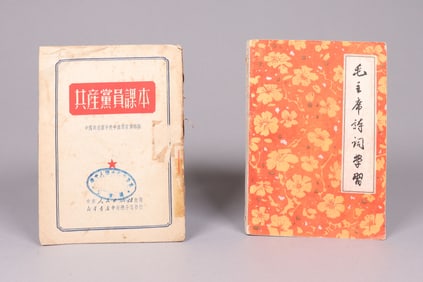 2 Chinese cultural revolution book