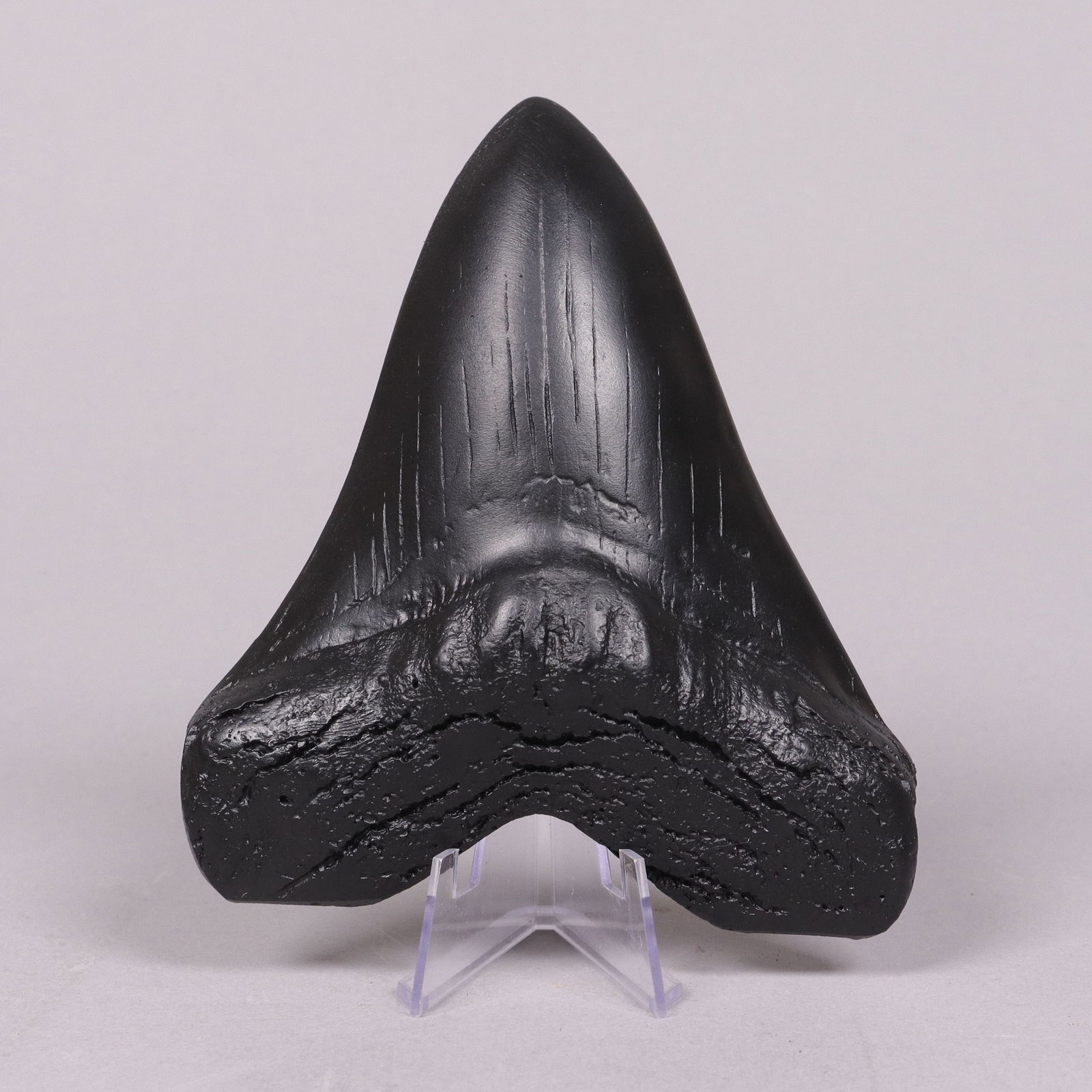 A possibly fosslized item (1 of 5)