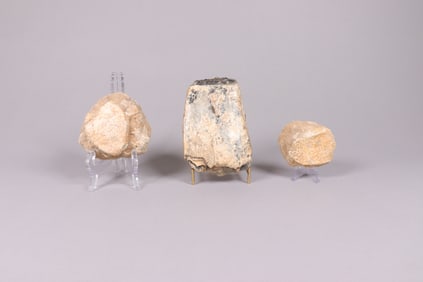 Lots fossilized item