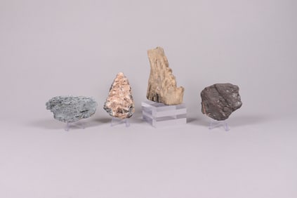 Lots fossilized item