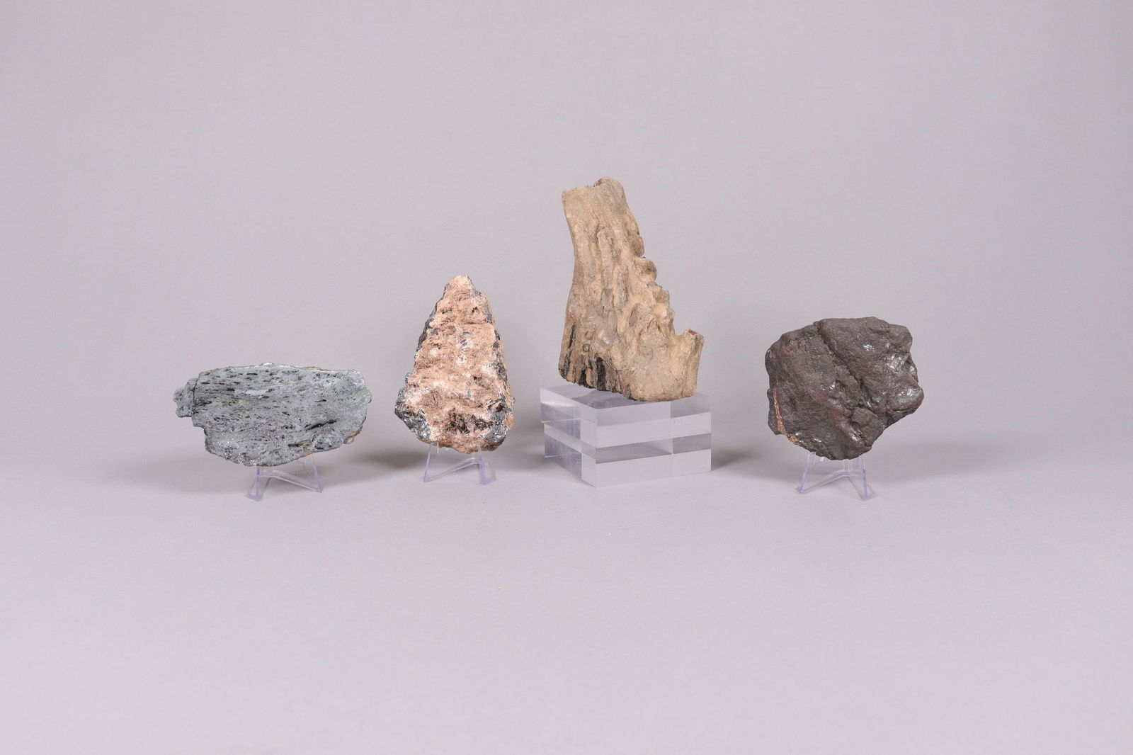 Lots fossilized item (1 of 7)