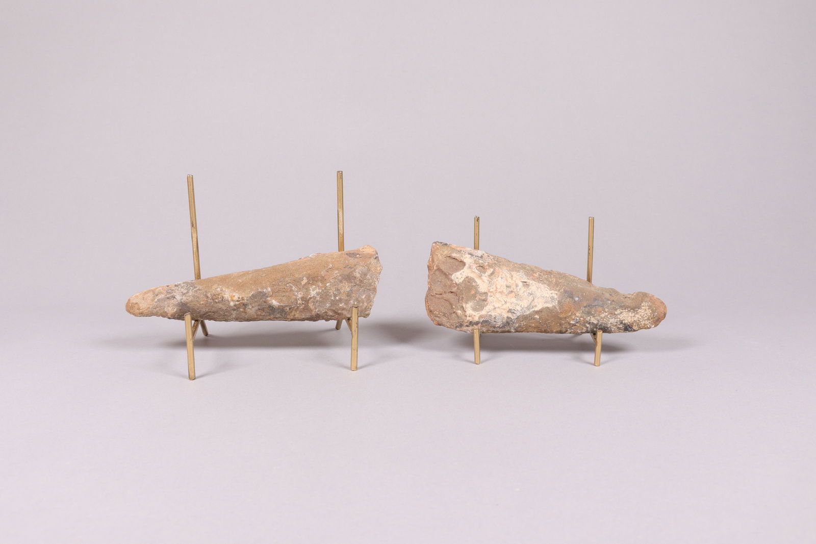 Lots fossilized item (1 of 7)