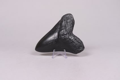 A fossilized item ungraded