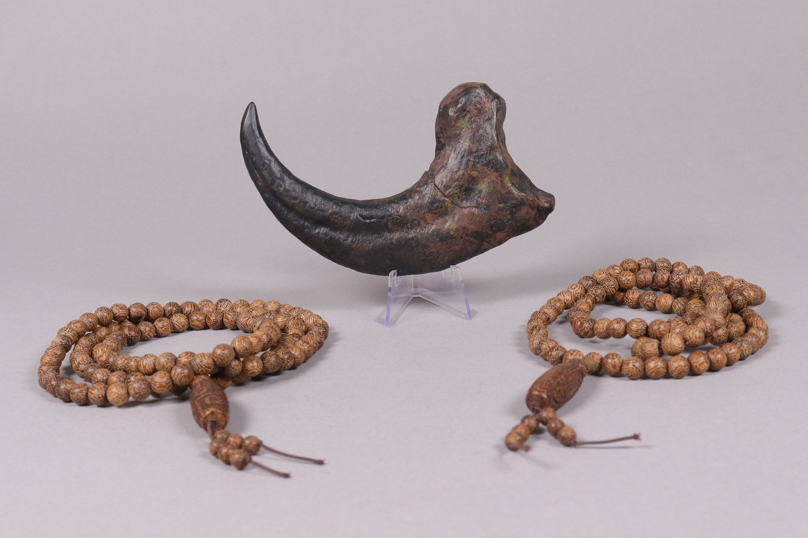 A fossilized item with beads (1 of 7)