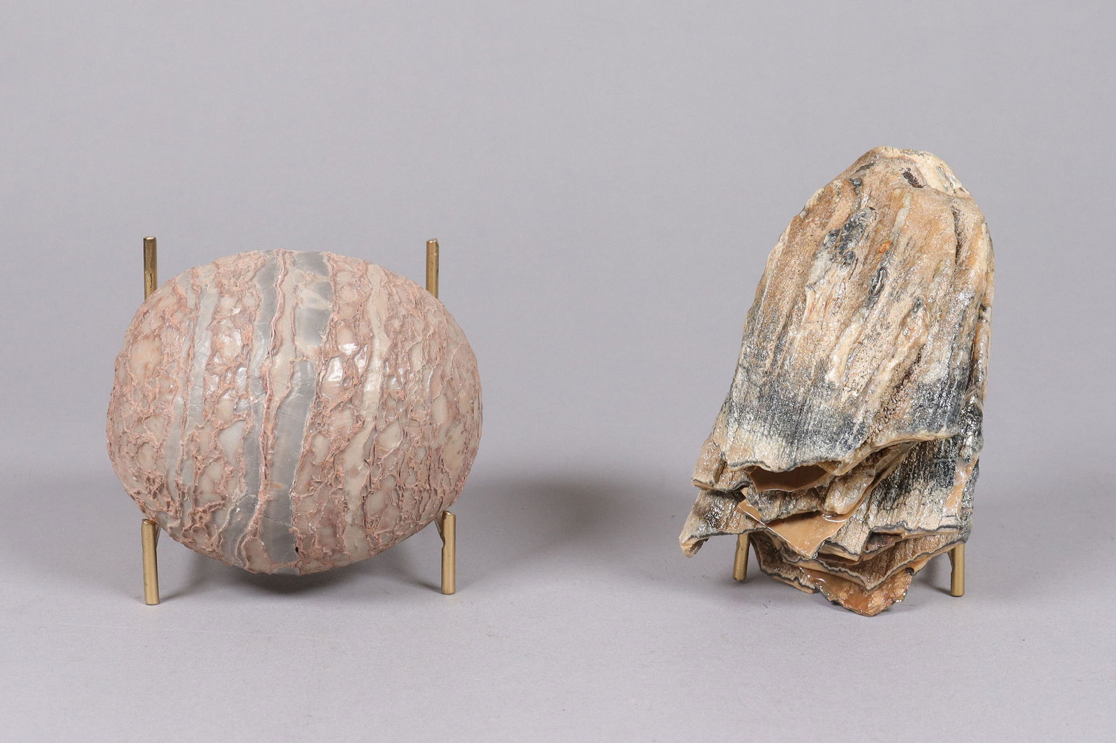 Lots fossilized items (1 of 7)