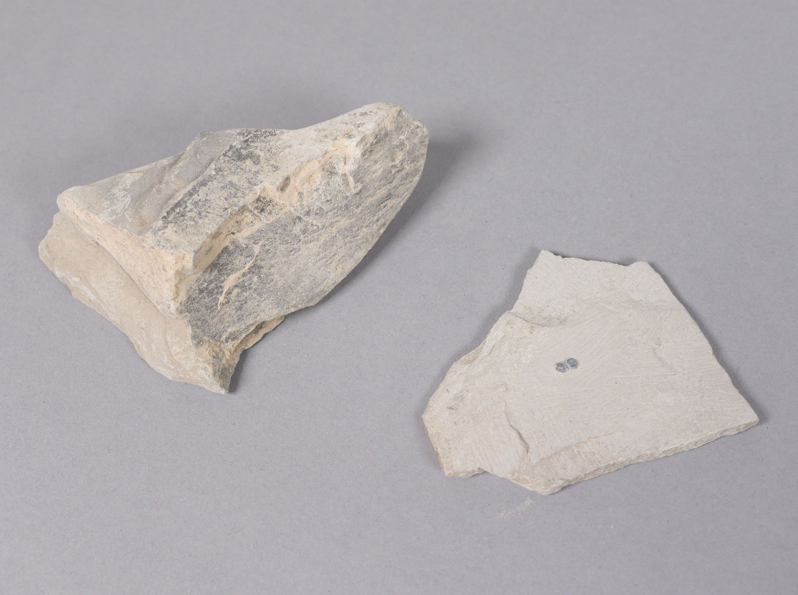 Lots fossilized specimen - 5