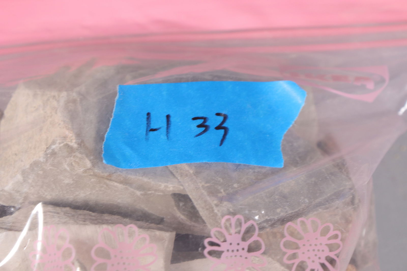 Lots fossilized specimen - 6