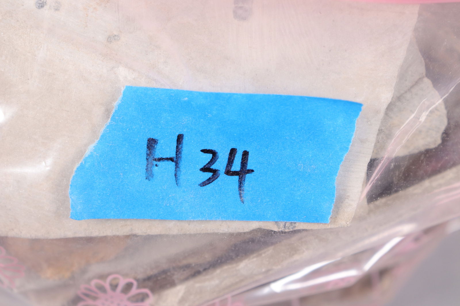 Lots fossilized specimen - 6