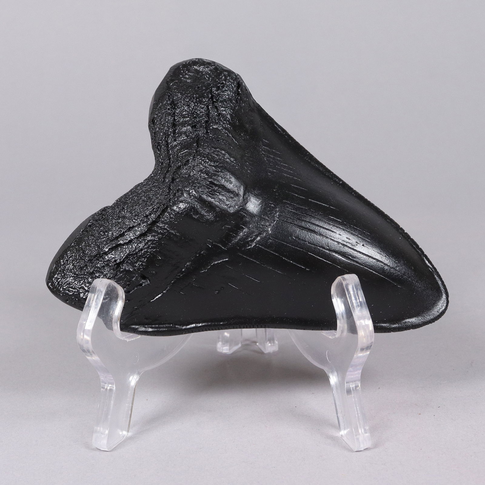 A large fossilized item: A large fossilized item. All sales are final, no return. H: 5" x W: 4."