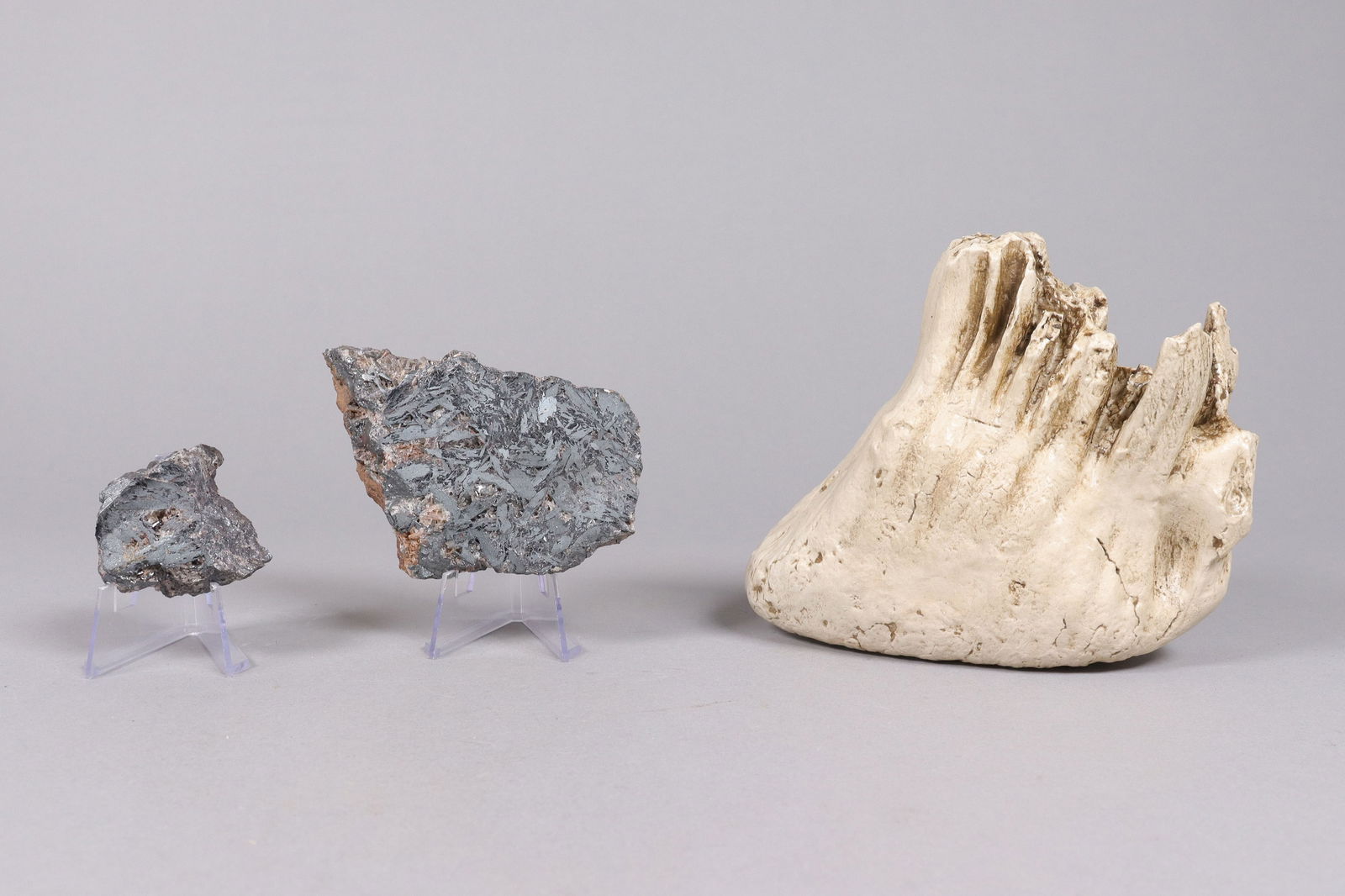 Meteorite specimen and fossil: Meteorite specimen and fossil.