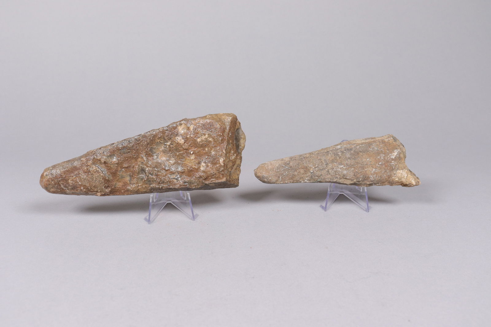 Lots fossilized specimen - 3