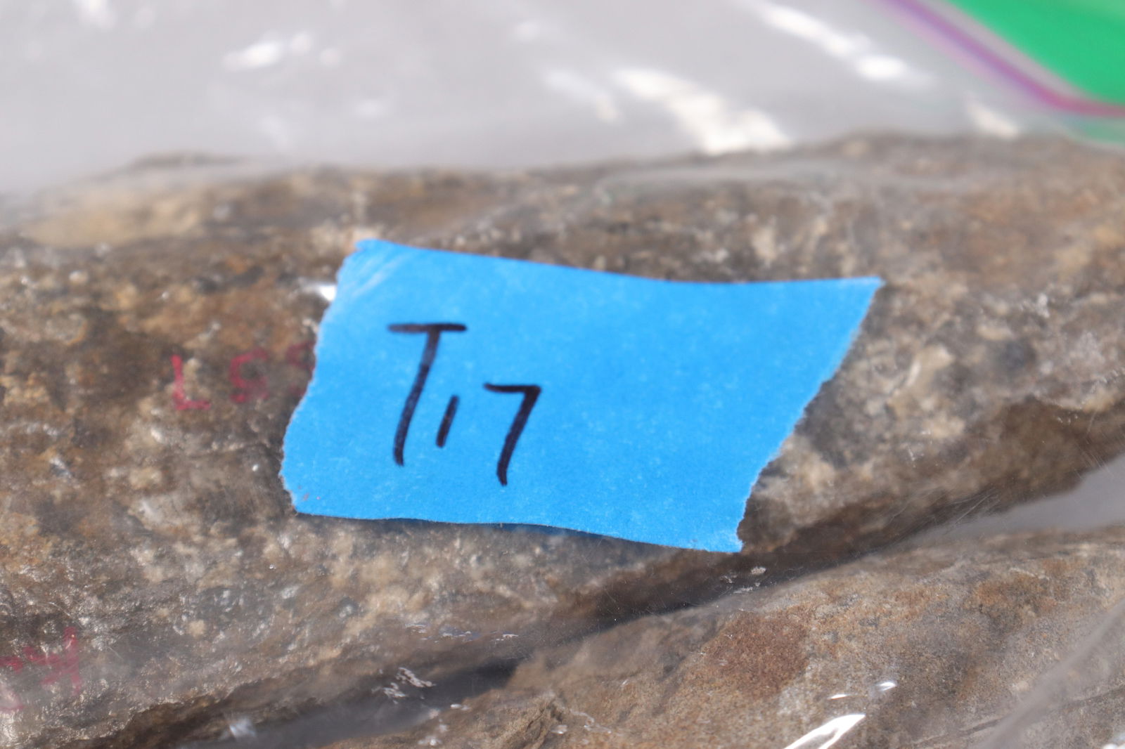 Lots fossilized specimen - 6