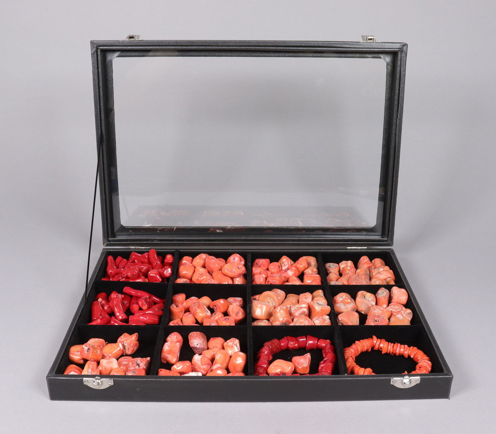 Lots corals specimen: Lots corals specimen. All sales are final.