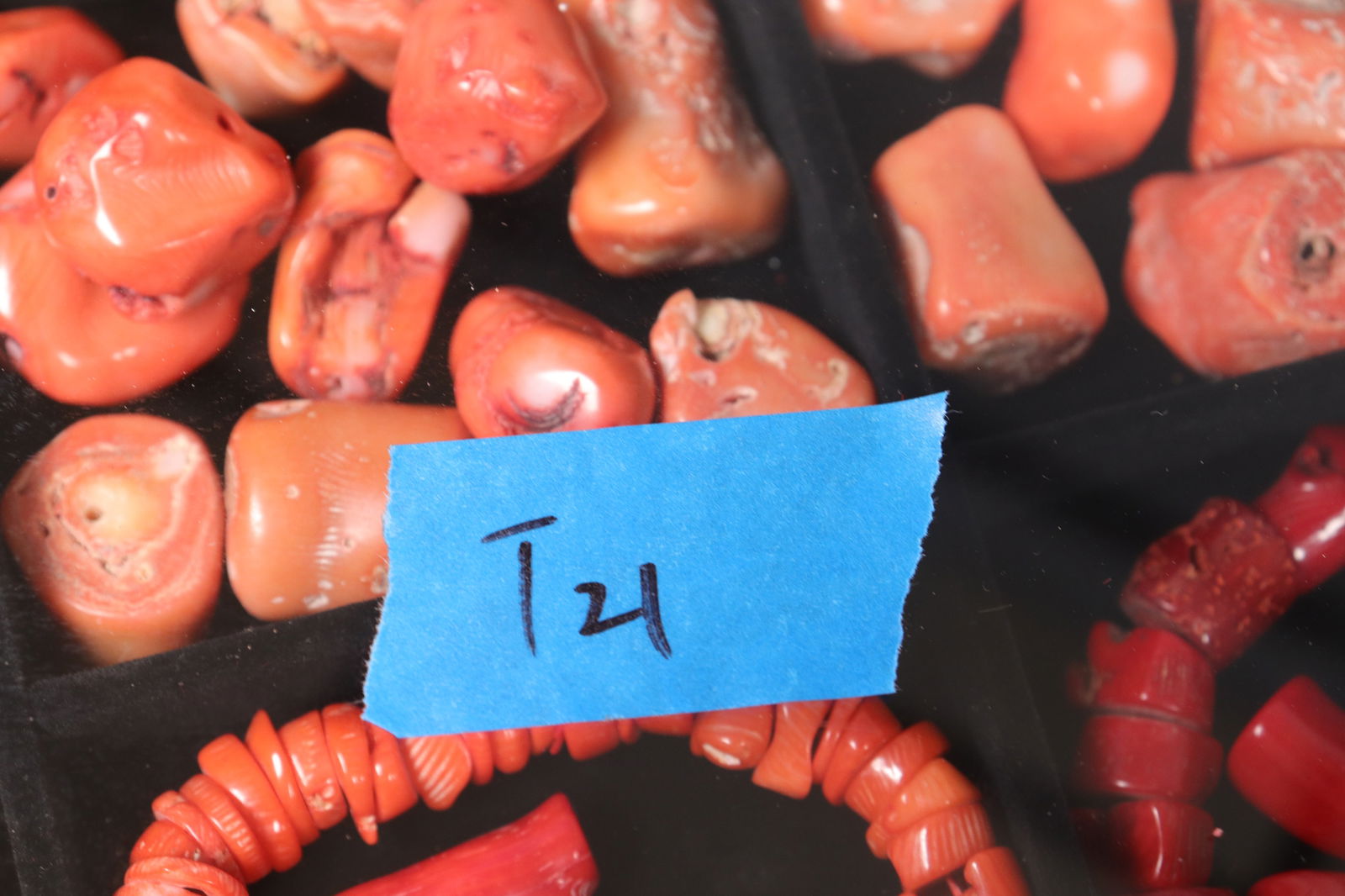 Lots corals specimen - 7