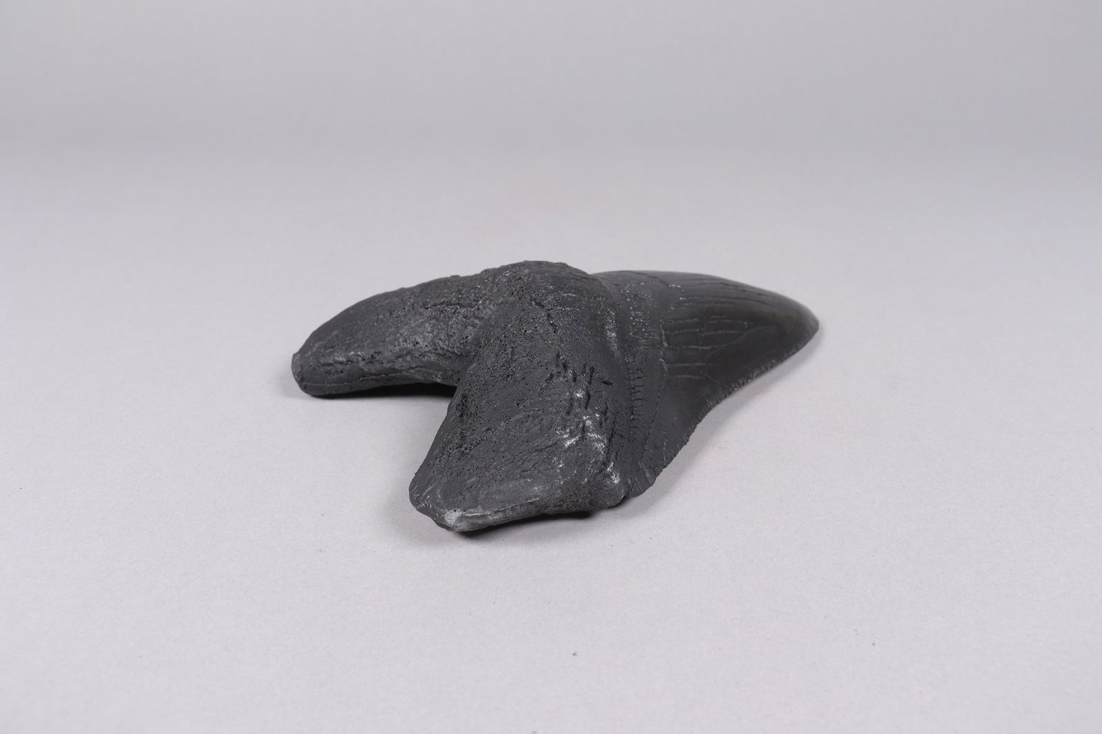 A large fossilized item - 4