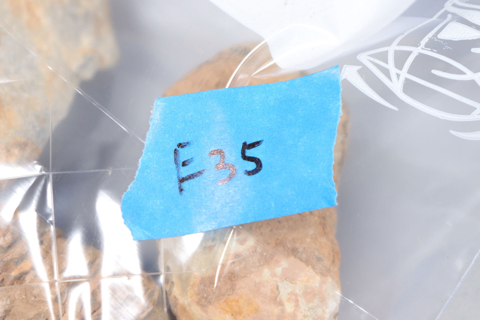 Lots fossilized item - 6