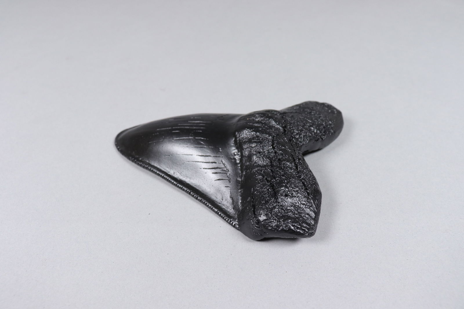 A large fosslized item - 4