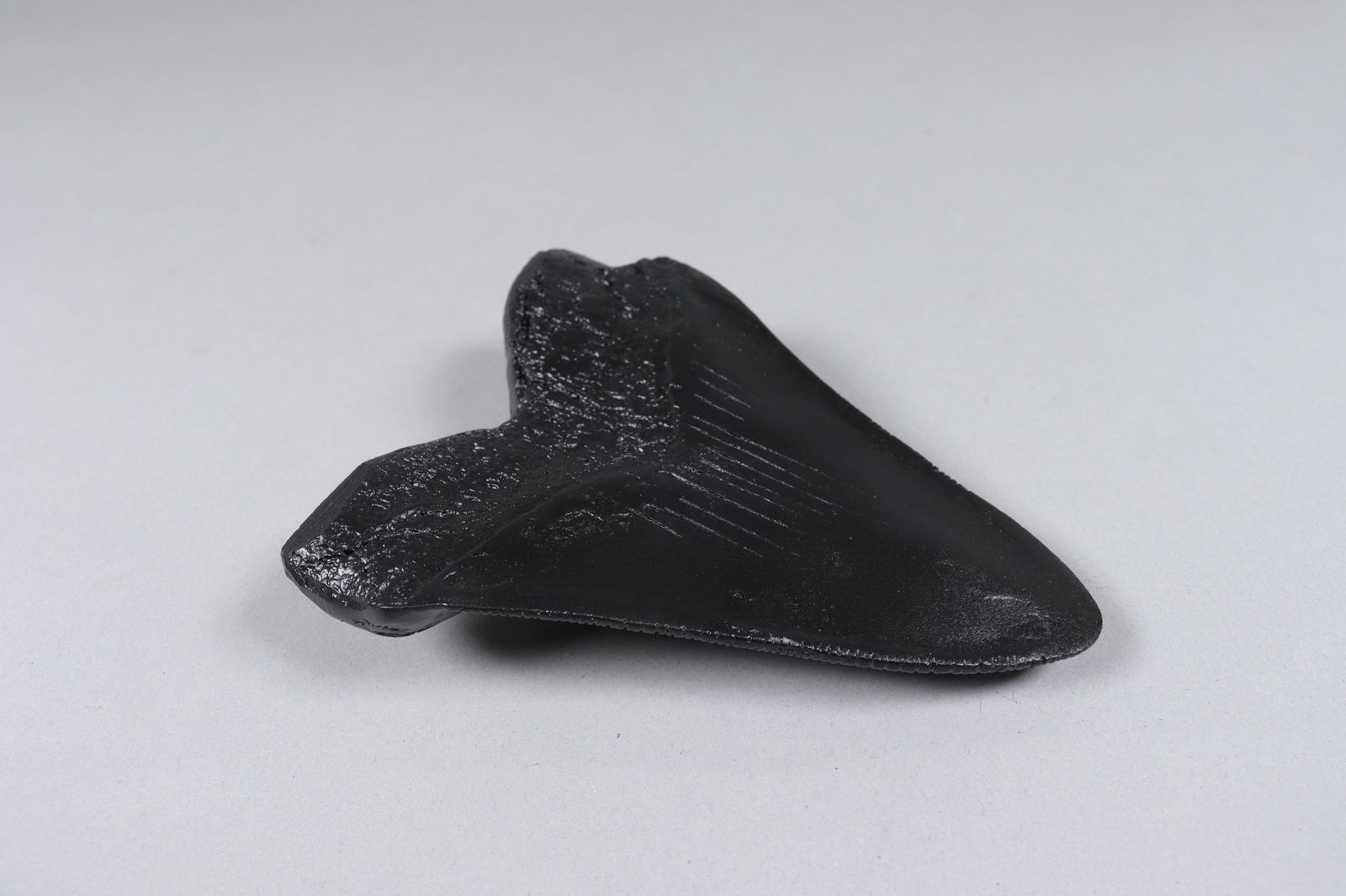 A large fosslized item - 5