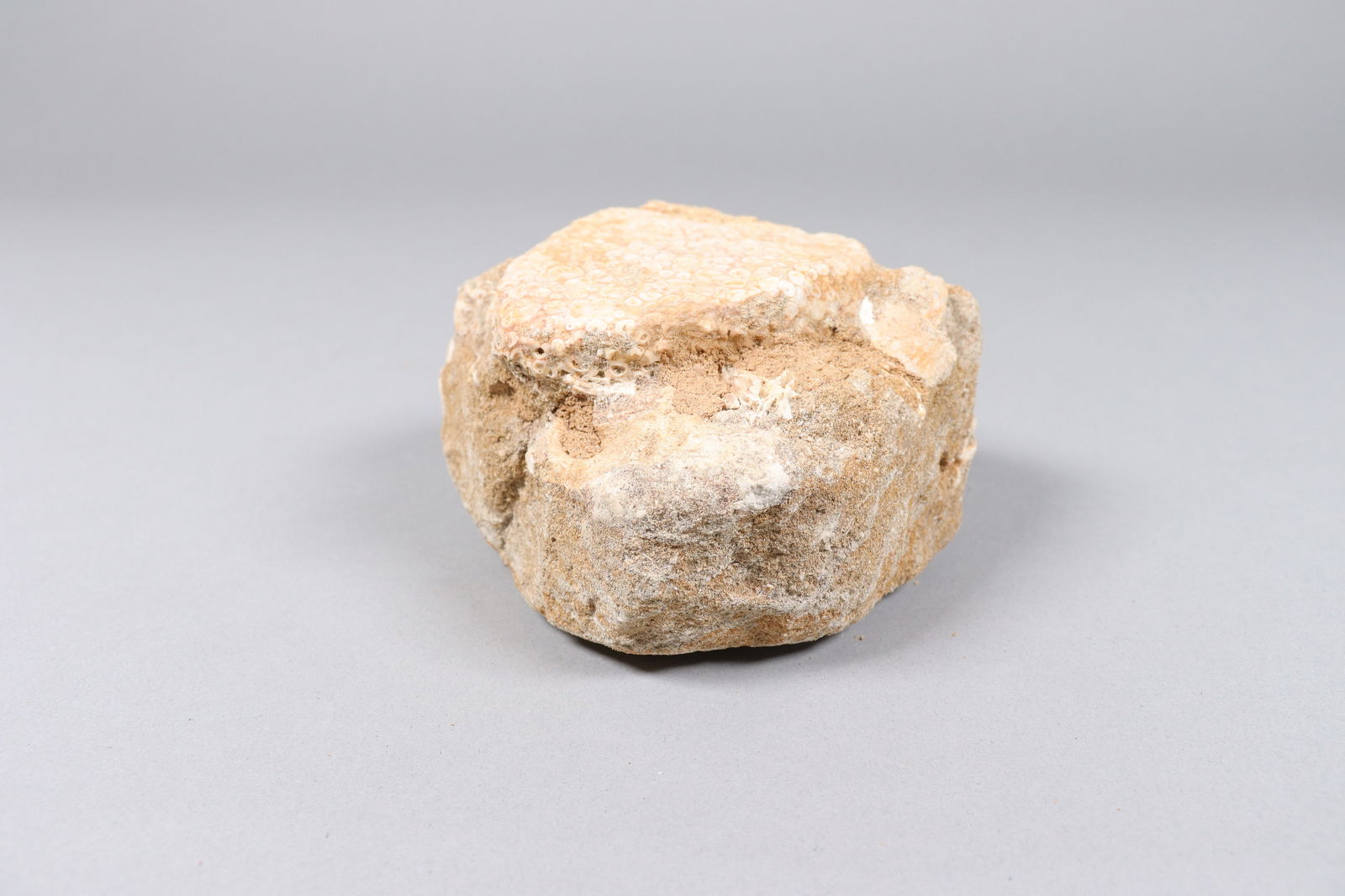 Lots fossilized item - 6