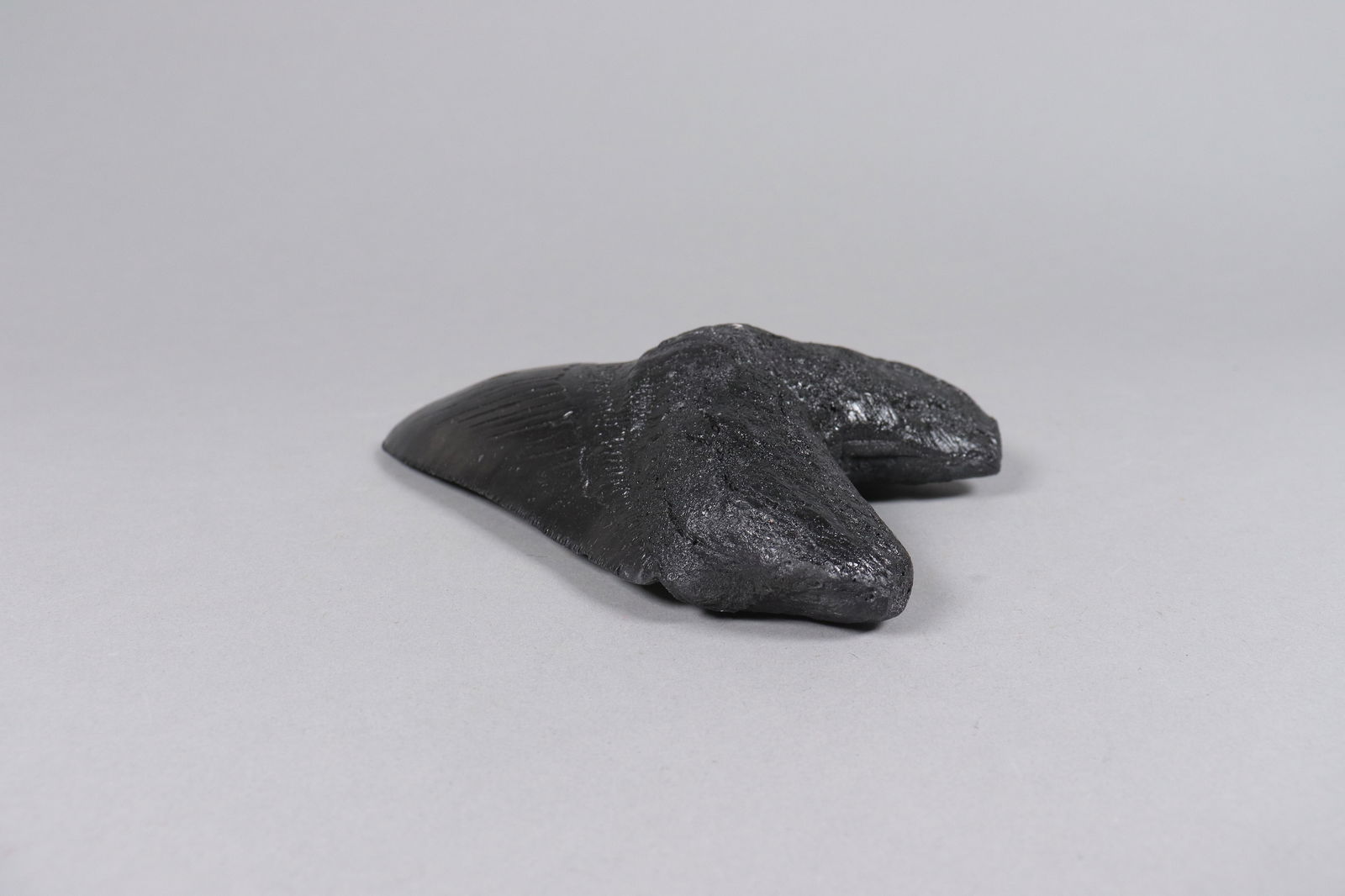 A large fosslized item - 3