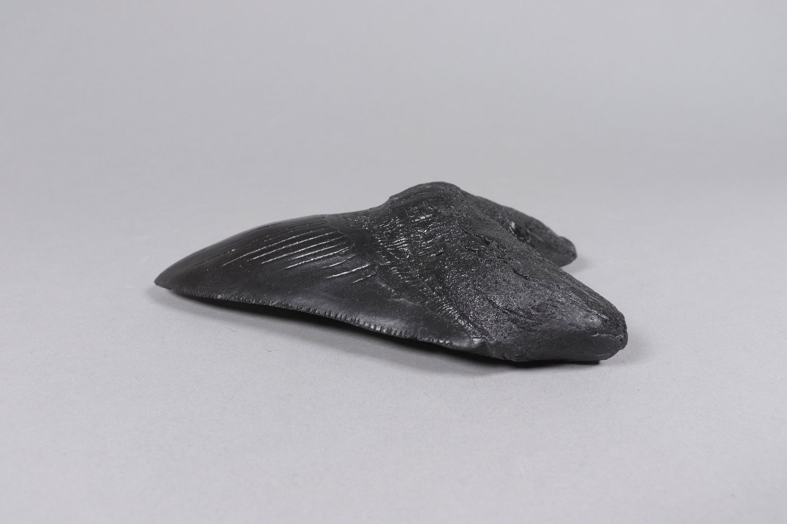 A large fosslized item - 4