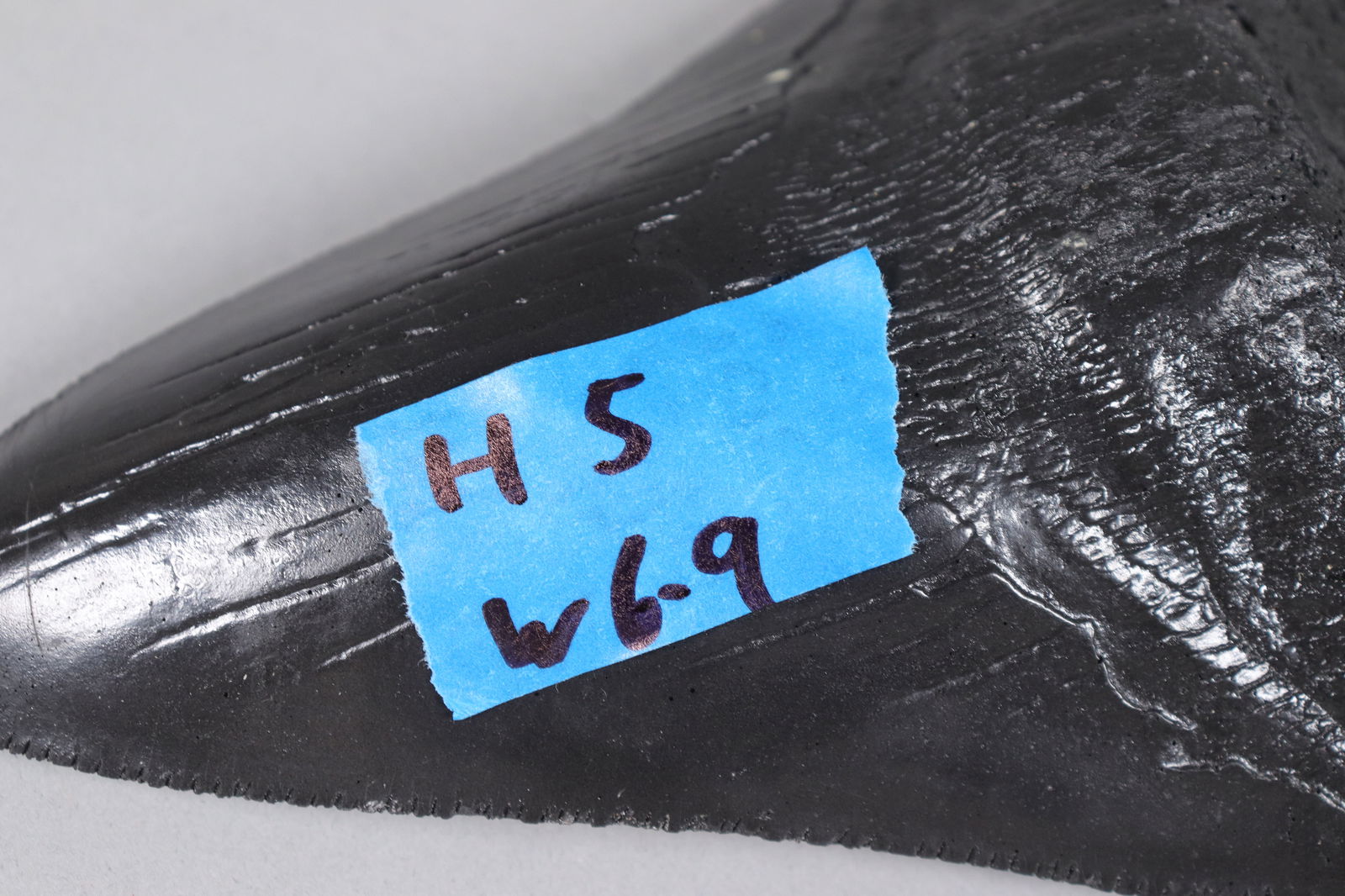 A large fosslized item - 6